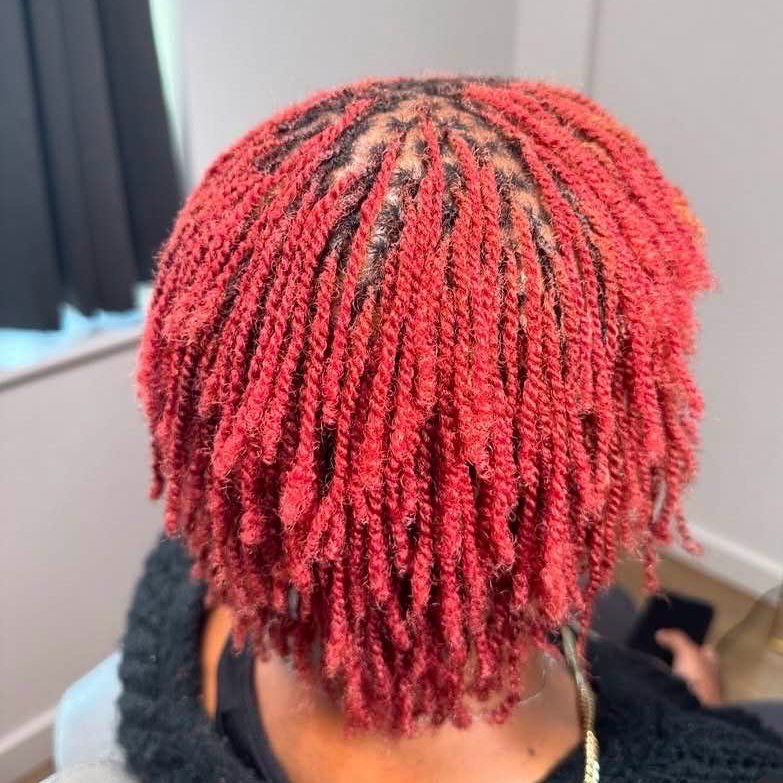 Locs by Vito, example 15