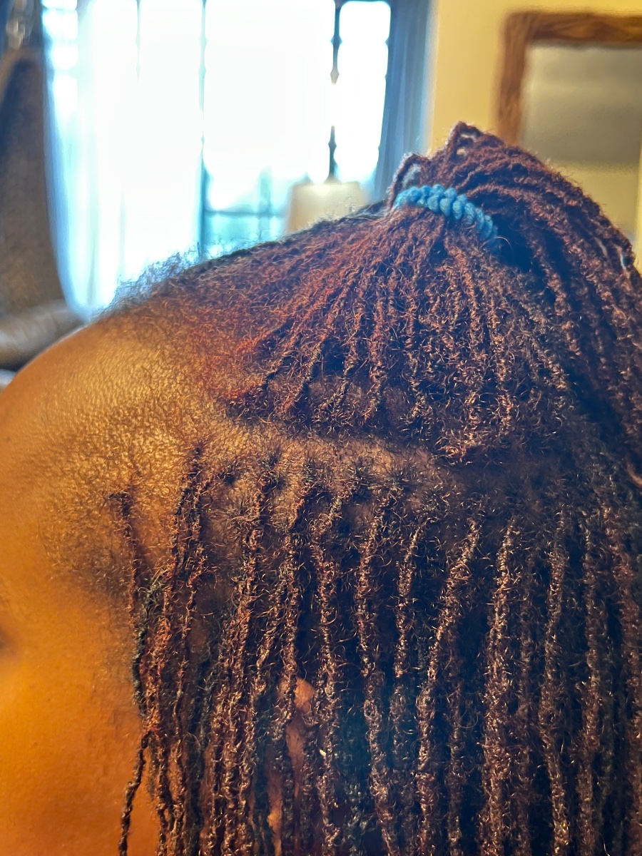 Haki portfolio 5